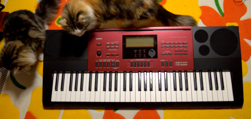 Kinh nghiệm mua đàn organ