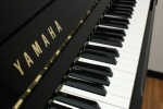 Năm triệu có mua được đàn digital piano không?