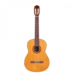 Đàn Guitar Classic Cordoba C5