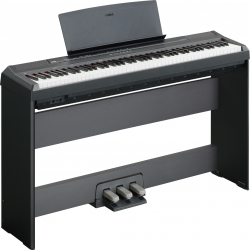 Đàn Piano Điện Yamaha P 105B