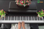 Video hướng dẫn học đàn PIANO cơ bản