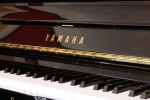 Kích thước phổ biến của đàn piano điện hiện nay