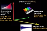 Tìm hiểu công nghệ âm anh SuperNATURAL của piano điện Roland