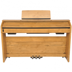 Đàn Piano Điện CASIO PX A800