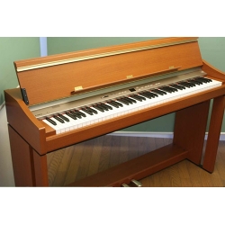 Đàn Piano Điện Kawai L5