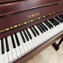 Đàn Piano Điện Yamaha DUP5