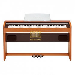 Đàn Piano điện Casio PX 800