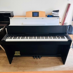 Đàn Piano Điện CASIO PX-830
