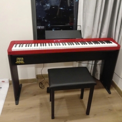 Đàn piano điện Casio PX-S1000
