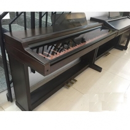 Đàn Piano Điện Kawai PW 500