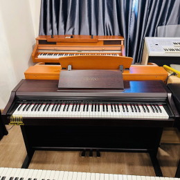 Đàn piano điện Casio AP-21