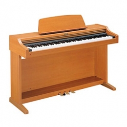 Đàn Piano Điện Kawai PN 290C