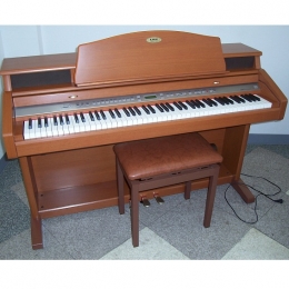 Đàn Piano Điện Kawai PW 7C
