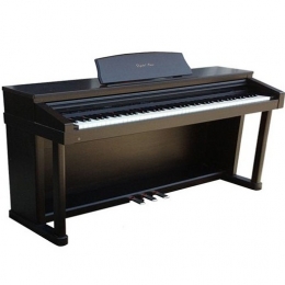 Đàn Piano Điện Kawai PW 920