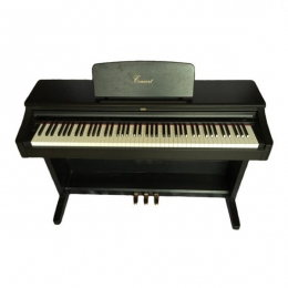 Đàn piano điện Korg C35W