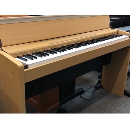 Đàn Piano Điện CASIO PS 3000