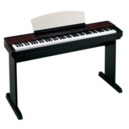 Đàn Piano Điện Yamaha P120