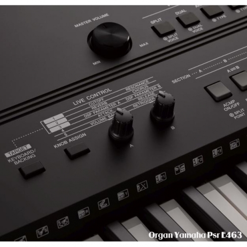 Đàn Organ Yamaha PSR-E463